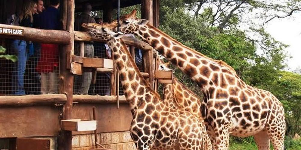 1 Day Nairobi City Tour 1 Day Nairobi City Tour