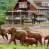 1 Day Aberdare Safari 1 Day Aberdare Safari