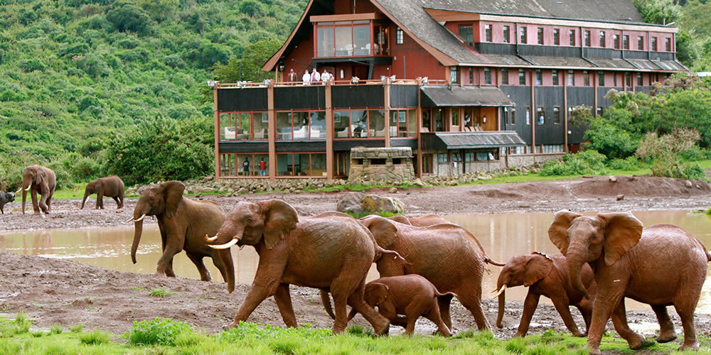 1 Day Aberdare Safari 1 Day Aberdare Safari
