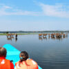 1 Day Lake Naivasha Safari 1 Day Lake Naivasha Safari