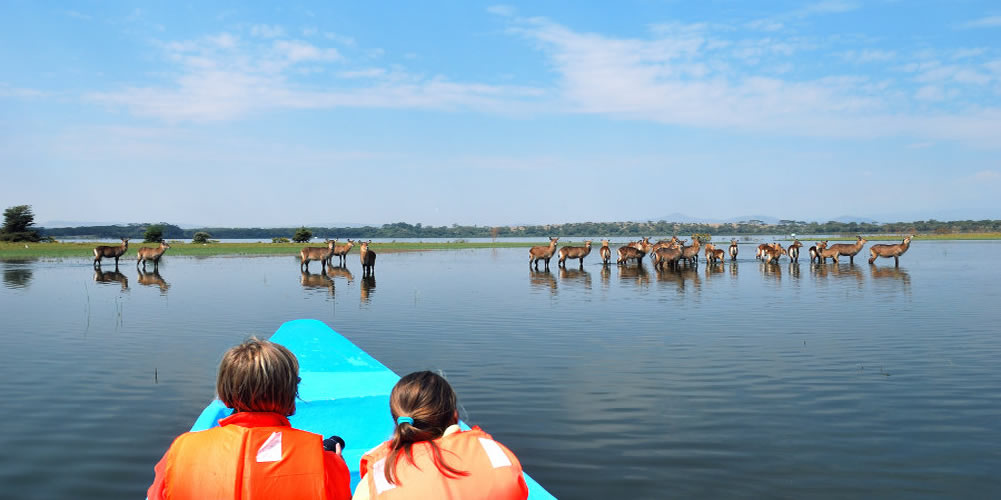 1 Day Lake Naivasha Safari 1 Day Lake Naivasha Safari
