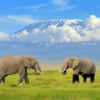 3 Days Amboseli Safari 3 Days Amboseli Safari