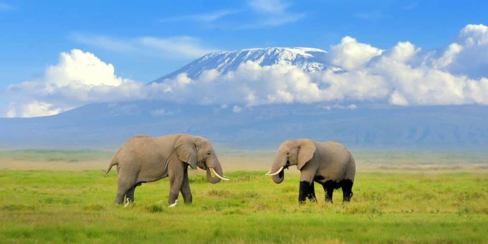 3 Days Amboseli Safari 3 Days Amboseli Safari