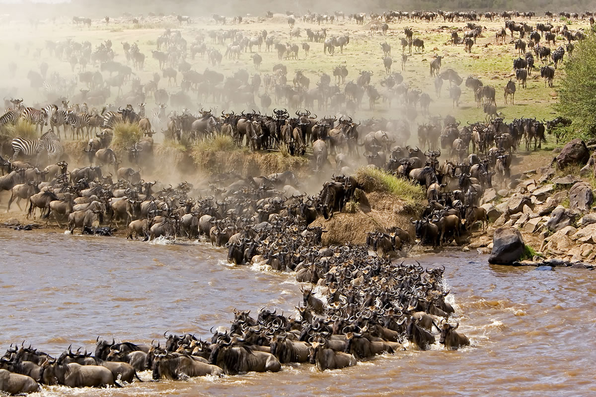 3 Days Masai Mara National Reserve Safari