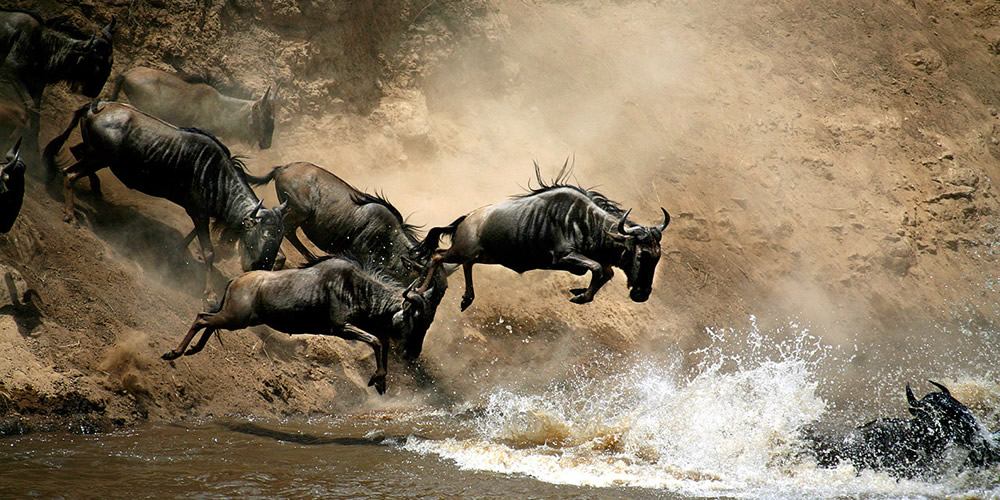 3 Days Masai Mara Safari
