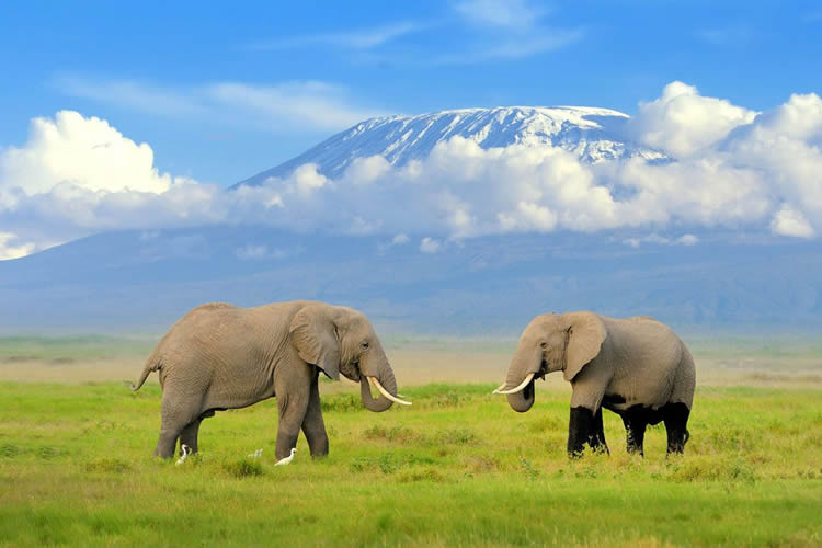 3 Days Amboseli National Park